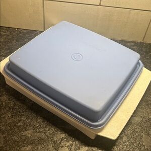 Vintage Tupperware deviled egg Blue and White Food Storage Container